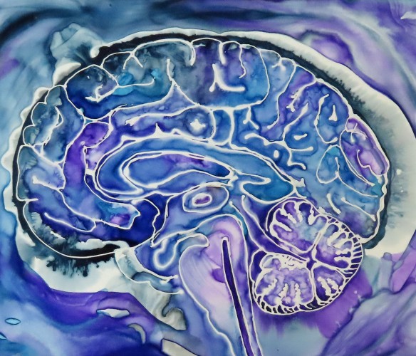 purple and blue ink brain painting