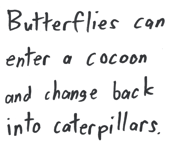 Butterflies can enter a cocoon and change back into caterpillars.