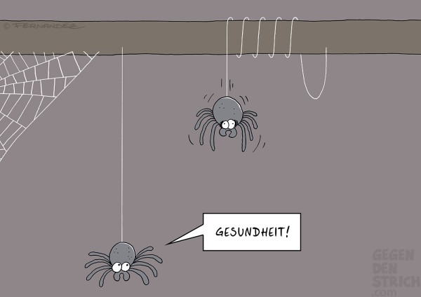 Cartoon: Zwei Spinnen hängen von einem Balken. Die eine ist mit ihrem Faden offenbar um den Balken herumgewirbelt, hat sich mehrmals um ihn herumgewickelt und ist nun zum Stehen gekommen. Die andere Spinne sagt: "Gesundheit!"