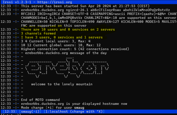 motd of irc server with part about 10 users and 2 servers marked yellow