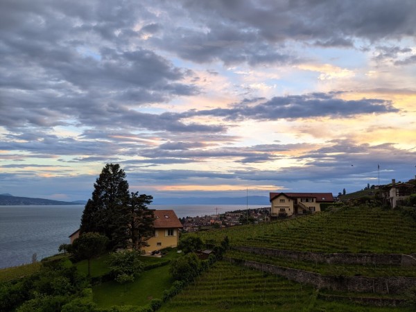 A beautiful view of the Lavaux and lake Geneva in the evening.