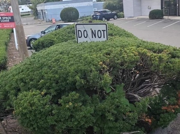 A sign, buried in a large bush, reads only "DO NOT"