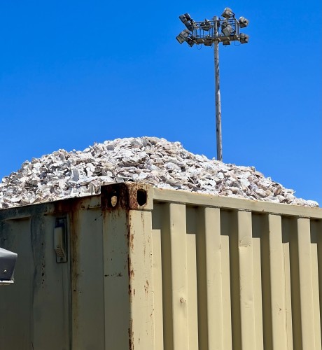 Against a clear blue sky on a bright sunny day an industrial container rises up, higher than head height. It’s slightly rusted, painted a yellowy beige. It is filled to the top and beyond with white shells. A mound visible above the brim of the container shows that it’s a huge pile of oyster shells, dry and sun bleached. A tall industrial light pole rises behind the container with eight or more spot lamps all around the top of it in a cluster.