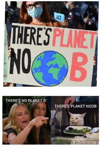 The Kaley Cuoco/Cat meme. The upper image shows a climate protester with an ambiguous sign that could be read two different ways.

Kaley Cuoco: There’s no planet B.
Cat: There’s planet Noob. (The Earth is positioned in a way that could be interpreted as an O)