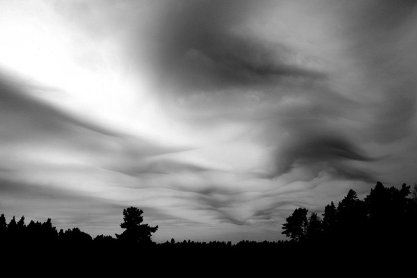 A cloudscape at dusk with some wave-like pattern with darker and brighter areas. At the horizon a silhouette of the forest tree line. The trees to the right are a bit closer than the rest and one third in from the left side one pine tree is a bit taller than the rest of them, looking like a creature or a troll with a big nose and a  walking towards the left side of the image. It is a black and white photograph.