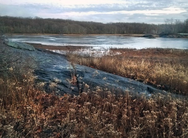 A dormant freshwater marsh beside a frozen lake on a rainy day in January. The dormant marsh grasses are wearing bronze and beige tones. A large dark blue-gray rock outcrop rising from the marsh is wet from rain. There are many puddles on the frozen lake surface. The forest on the far shore of the lake is filled with leafless trees. The sky is gray and overcast, streaked with darker gray clouds.