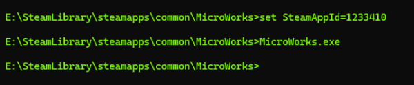 Terminal screenshot showing two commands: "set SteamAppId=1233410", then "MicroWorks.exe"