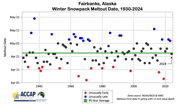 Time series plot showing the winter snowpack meltout date for Fairbanks, Alaska each year 1930 to 2024. 