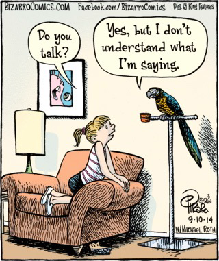 Kid: Do you talk? Parrot: Yes, but I don’t understand what I’m saying. 