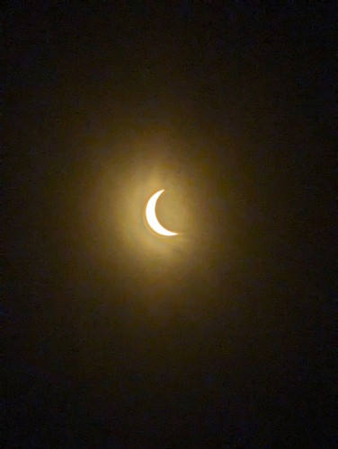 Picture of the partial sun eclipse in Raleigh North Carolina 