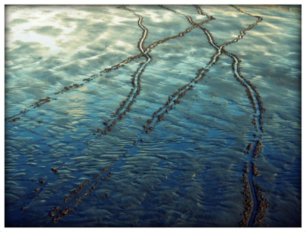 A colour photograph showing deep narrow tracks scarring the waterlogged sand reflecting the blue sky above.