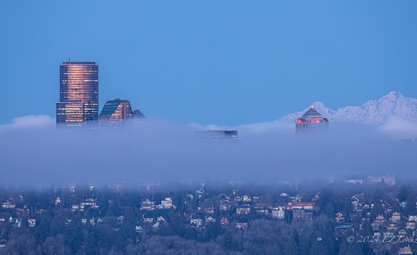 Fog blanketing downtown Seattle, you can only see the top of the tall buildings and a residential neighborhood in the foreground, clear blue skies. 