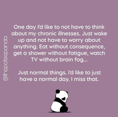 @thepotsiepanda
One day I'd like to not have to think
about my chronic illnesses. Just wake
up and not have to worry about
anything. Eat without consequence,
get a shower without fatigue, watch
TV without brain fog...
Just normal things. I'd like to just
have a normal day. I miss that.