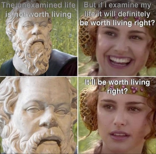 A four panel comic in the style of "Anakin and Padme talking" meme, with Anakin replaced with a marble bust of Socrates. 

Socrates: the unexamined life is not worth living
Padme: But if I examine my life it will definitely be worth living, right?
*The camera zooms in on a silent Socrates*
Padmr: It'll be worth living right?