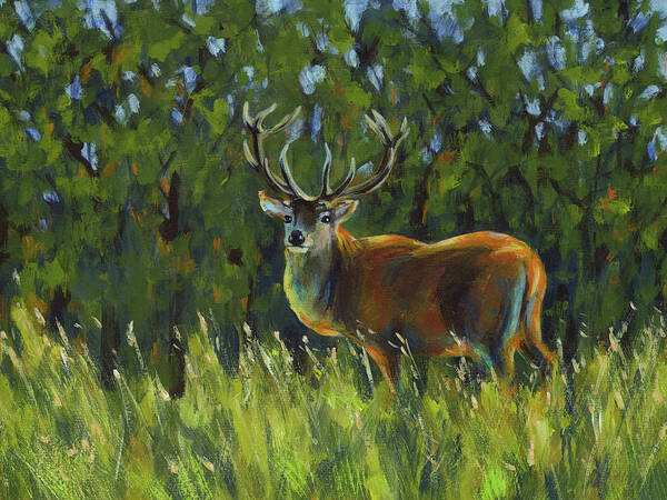 Deer in a clearing is a hand painted acrylic painting in landscape format by the artist Karen Kaspar. An imposing stag stands in tall grass in a clearing. The dark green trees of a forest can be seen in the background. The blue sky shines through the treetops. The deer and the green grasses in the foreground are illuminated by the sun and stand out brightly against the dark background. The deer has turned its head, which is crowned with imposing antlers, towards the viewer and looks attentively across the meadow.