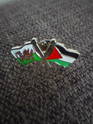 Photo of a pin badge featuring the twin flags of Wales and Palestine
