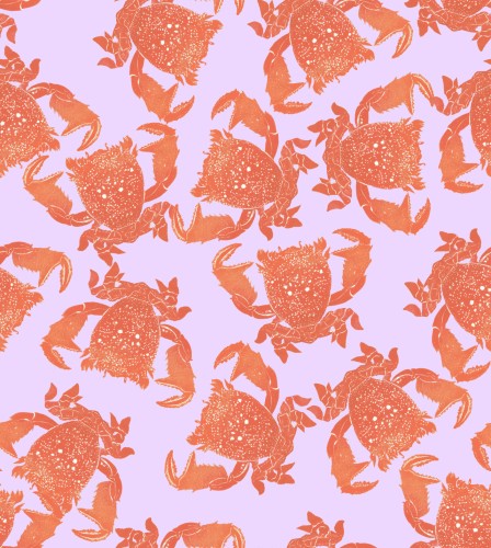 Pattern made from a random smattering of images of my frog crab on a pink background to create a repeat pattern