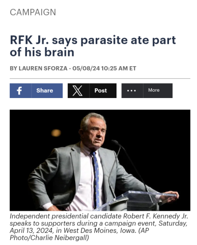 Screenshot from The Hill. Photo of RFK Jr. 

Headline: RFK Jr. says parasite ate part of his brain
