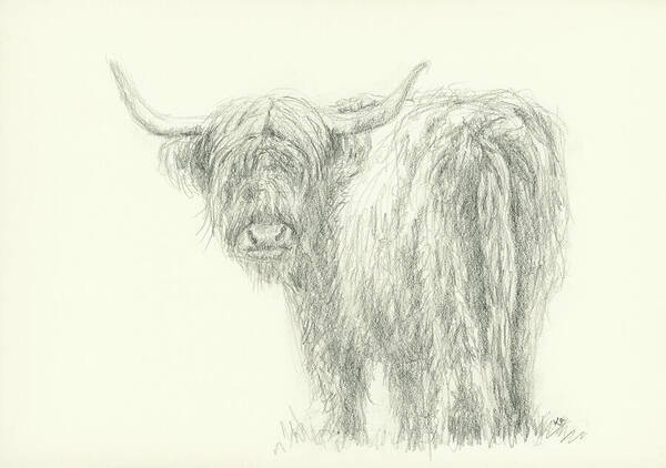Highland cattle looking backwards is a detailed pencil drawing showing a shaggy highland cattle with distinctive horns and the typical long-haired fringe above the eyes. Its shaggy coat and distinctive hairstyle give it a characteristic appearance, suggesting the animal's robustness and adaptability to harsh climates. The animal is standing in a meadow and can be seen from behind. It has its head turned backwards and is looking back towards the viewer.
The drawing is part of my series consisting of four different pencil drawings of highland cattle. The pictures are beautiful individually, but also complement each other perfectly on the wall to form a complete work of art. All four pictures can be found in my Collection of Animal paintings.