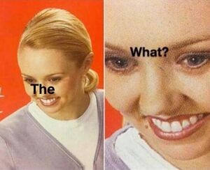 The. What. 2-panel meme. In the first panel, a woman is smiling, and saying “the”. In the second panel, the image is zoomed in on the same woman’s face, as she says “what?”