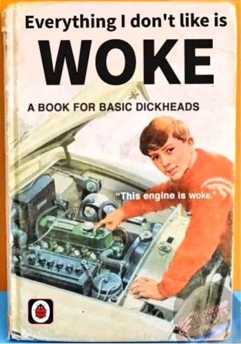 a ladybird book titled Everything I Don't Like is WOKE. 

the cover has a dated photograph of a man pointing at an engine of a car 
"this engine is WOKE"