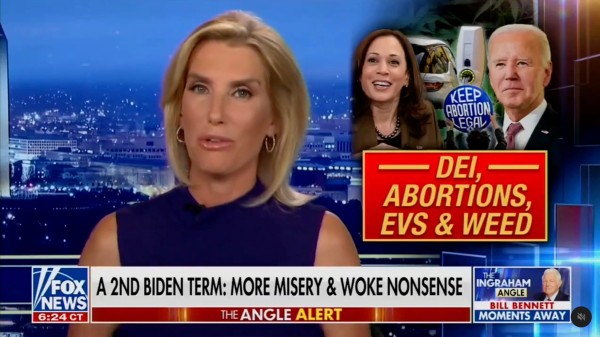 Nasty-looking middle-aged woman predicts "More misery & woke nonense" in a 2nd Biden term, including "DEI, abortions, EVs, & weed."
