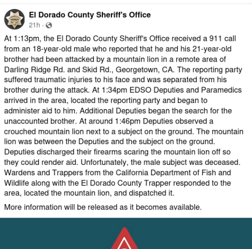 At 1:13pm, the El Dorado County Sheriff's Office received a 911 call from an 18-year-old male who reported that he and his 21-year-old brother had been attacked by a mountain lion in a remote area of Darling Ridge Rd. and Skid Rd., Georgetown, CA. The reporting party suffered traumatic injuries to his face and was separated from his brother during the attack. At 1:34pm EDSO Deputies and Paramedics arrived in the area, located the reporting party and began to administer aid to him. Additional Deputies began the search for the unaccounted brother. At around 1:46pm Deputies observed a crouched mountain lion next to a subject on the ground. The mountain lion was between the Deputies and the subject on the ground. Deputies discharged their firearms scaring the mountain lion off so they could render aid. Unfortunately, the male subject was deceased. 
Wardens and Trappers from the California Department of Fish and Wildlife along with the El Dorado County Trapper responded to the area, located the mountain lion, and dispatched it. 
More information will be released as it becomes available.