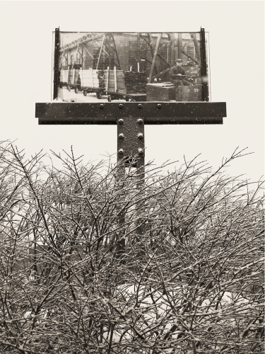 The photo depicts a sepia-toned scene with a strong sense of wintertime. Dominating the upper portion of the image is a large, rectangular billboard featuring a vintage photograph of a man sitting, working at what appears to be an industrial site with metal structures around him. The billboard is mounted on a sturdy, riveted pole that is centered in the image.

Snowflakes are visibly falling, creating a serene atmosphere, and they lightly dust the surfaces within the scene, including the billboard and the pole. The lower portion of the image is filled with a dense thicket of bare, interwoven branches of bushes or shrubs, their complexity contrasting with the simplicity of the billboard. These branches, coated with a fine layer of snow, add a natural texture to the foreground, standing stark against the snowy backdrop. The contrast of the natural elements in the foreground with the industrial scene in the billboard creates a juxtaposition.