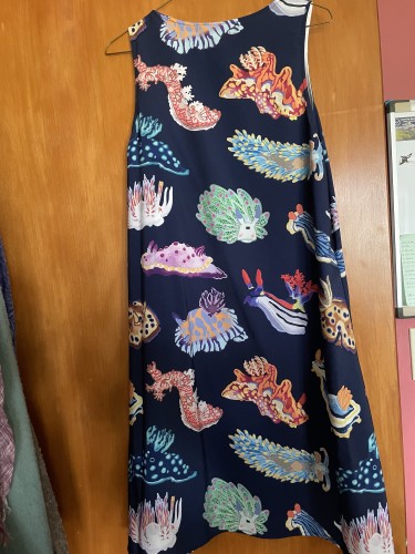 A sleeveless navy blue dress covered in images of colorful sea slugs, like diverse aliens. One in the center has green projections with pink spots at the tips and the face of a sheep rabbit hybrid. Others look like red and orange dragons or purple and yellow spotted blobs. All are beautiful and weird. 