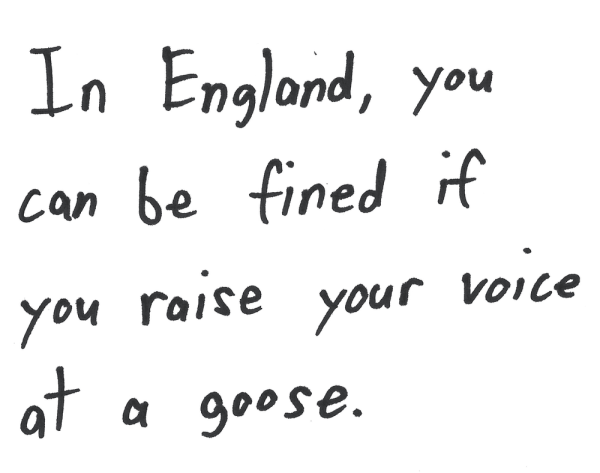 In England, you can be fined if you raise your voice at a goose.