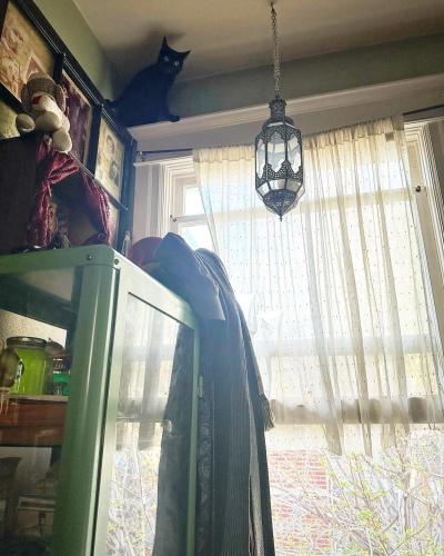 Oola the black cat, high up in the far corner of the room, sitting on the top ledge of a window, near the ceiling. 
