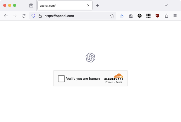 There are only two things on the OpenAI homepage: the OpenAI logo, which looks like a weird camera aperture, and a Cloudflare “Verify you are human” checkbox.