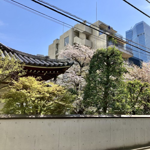 A street in Tokyo, shot over a wall, part of a traditional roof as well as more modern buildings visible in background as well as trees, some blossoming.