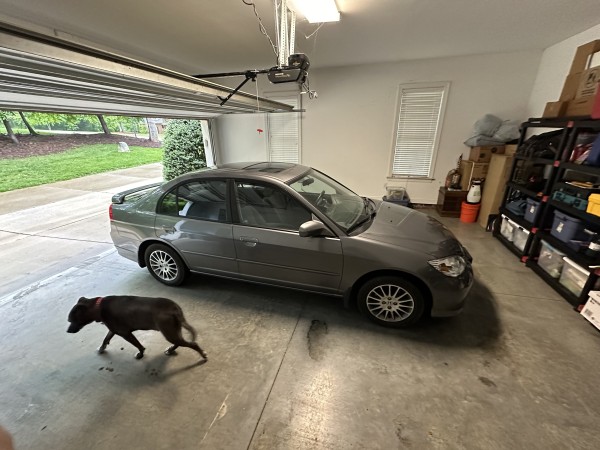 A loan silver 2005 Honda Civic sitting in the middle of our garage with plenty of space all around it. My dog Max stands nearby.