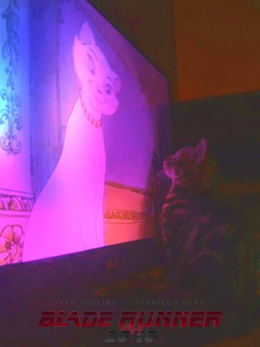 A photo of kitten looking up to a TV, on the screen is the cat Duchesse from the animated movie Aristocats. The image on the screen is tinted magenta.
Overlayed on the bottom of the photo there is the logo of the movie Blade Runner 2049, commenting on the similarity of the photo to an iconic scene from said movie where Ryan Gosling's character "K" is standing in front of a giant, naked, magenta-colored, holographic ad for an AI girlfriend "Joi", played by Ana de Armas.