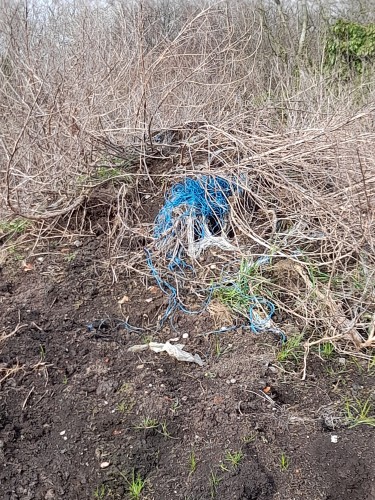 A ball of blue plastic string has become entangled in a dried bush.
Ein Knäuel blauer Plastikschnüre hat sich in einem vertrockneten Busch verfangen.