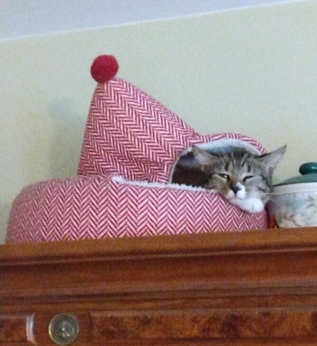 A very sleepy 1 year old tabby cat is lying inside a yurt-styled cat bed with her head and one white paw sticking out.  Her eyes are almost closed.  The red and white yurt looks like it has been smashed down by the cat.