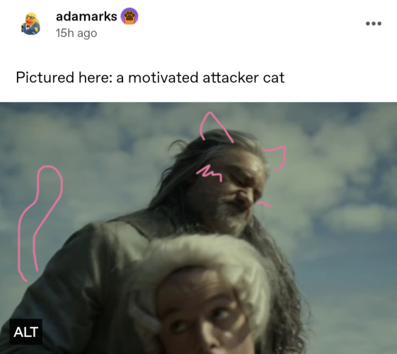 Screenshot of the linked Tumblr post from AdamArks: 'Pictured here: a motivated attacker cat'. Below that is an image of Ed choking an English Navy officer with cat ears, a blush on his cheek and a tail scribbled on in pink.
