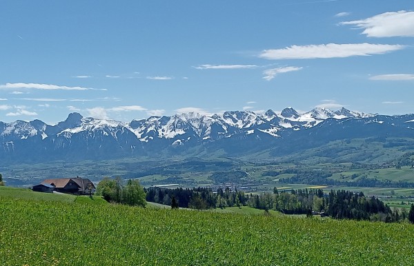 Sicht auf die Stockhorn-Bergkette (Kanton Bern). Dahinter blauer Himmel mit einigen schneeweissen Wolken. Im Vordergrund eine grüne Wiese, ein paar Bäume und ein Bauernhaus.