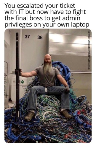 Bearded man sitting on top of a pile of network cables while holding a network switch.

Caption: You escalated your ticket with IT but now have to fight the final boss to get admin privileges on your own laptop 