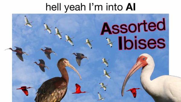 Meme:
“Hell yeah I’m into AI”
“Assorted Ibises” 
Five different species of Ibis (bird) edited together 