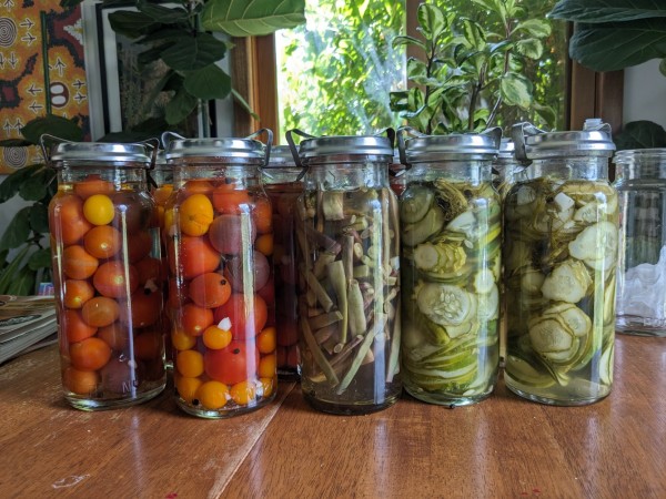 Five Fowler's jars with cherry tomatoes, beans and cucumber pre-processing