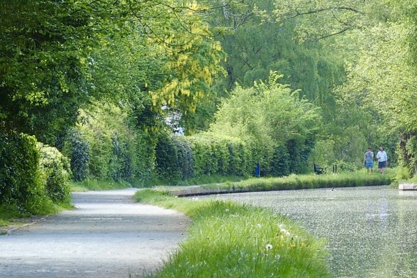 A peaceful view along a country canal. Canal water very flat and still, dusted with pollens and fallen blossom, curving to the right, a grassy verge separating it from the path on the left. Hedges follow the curve on the left, overhung by many trees including a yellow flowering laburnum. Two people walking towards, in the distance