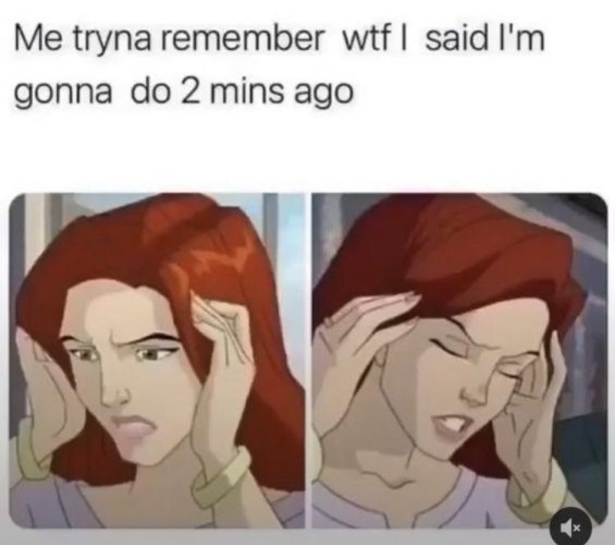 A two-panel meme that humorously captures a moment familiar to many with ADHD, where one struggles with short-term memory lapses. In both panels, an animated character with red hair appears distressed while trying to recall something. In the first panel, the character’s hand is on her forehead as she looks away, a look of confusion and concentration on her face. In the second panel, her eyes are closed, and her fingers are pressed against her temples, a classic gesture of deep thinking or frustration.

The text above the panels reads “Me tryna remember wtf I said I’m gonna do 2 mins ago,” highlighting the common ADHD experience of forgetting recent thoughts or intentions. The meme speaks to the distractibility and memory challenges that are often part of living with ADHD, depicting it in a relatable and light-hearted way.
