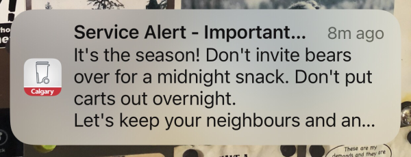 a city of calgary alert reminding residents to not leave their trash bins out over night during bear season