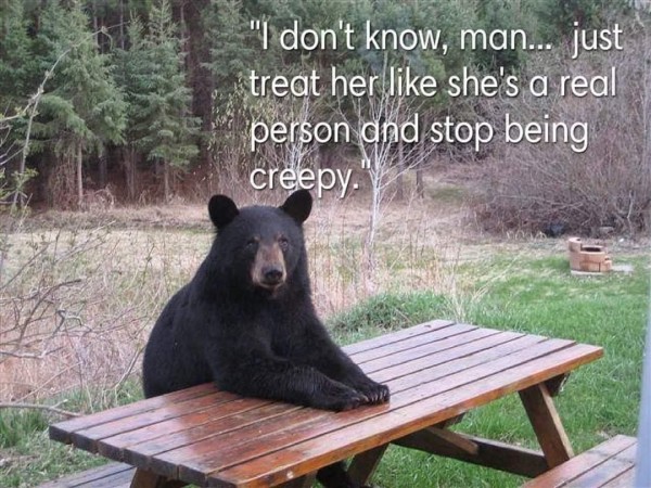 A picture of a bear sitting on a picnic bench in the woods with the text, "I don't know man... just treat her like she's a real person and stop being creepy."