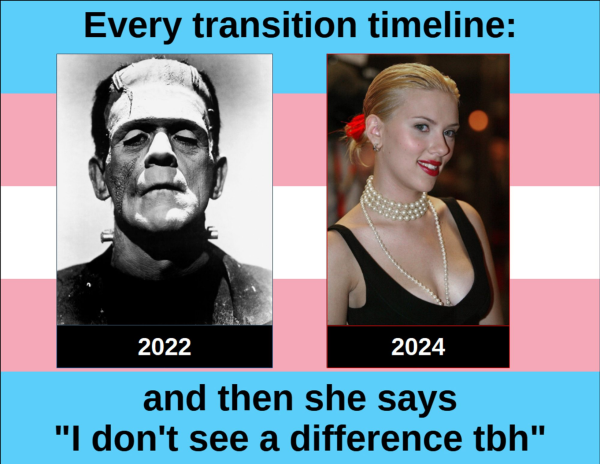 Every transition timeline:

2022 - Frankenstein 
2024 - Scarlett Johannson

And then she says "I don't see a difference tbh"