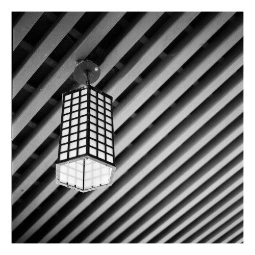 This black and white photograph features a single, suspended lantern against a background of diagonal slats. The lantern, hanging from a visible circular mount on the ceiling, has a geometric design with a metal frame that forms a grid pattern around the light, reminiscent of traditional or Asian-inspired designs. The contrasting lines of the slats and the lantern's grid create a visually engaging interplay of patterns and textures. The diagonal lines of the slats add a sense of motion and depth, enhancing the photo's composition and emphasizing the lantern as the focal point.