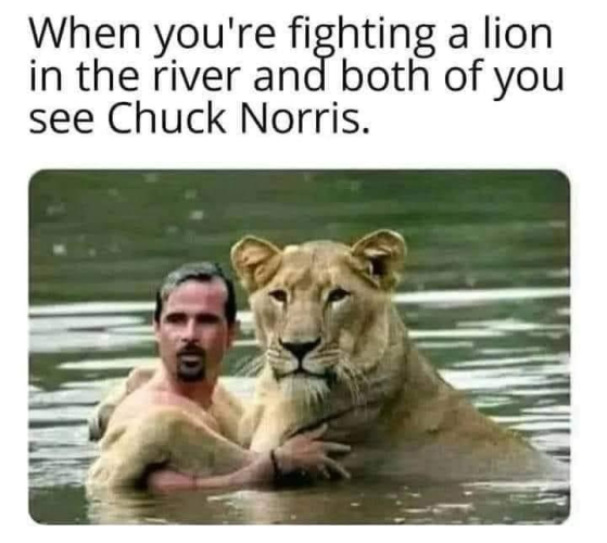 When you're fighting a lion in the river and both of you see Chuck Norris.