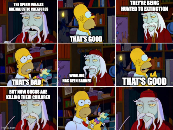 Simpsons meme describing the above